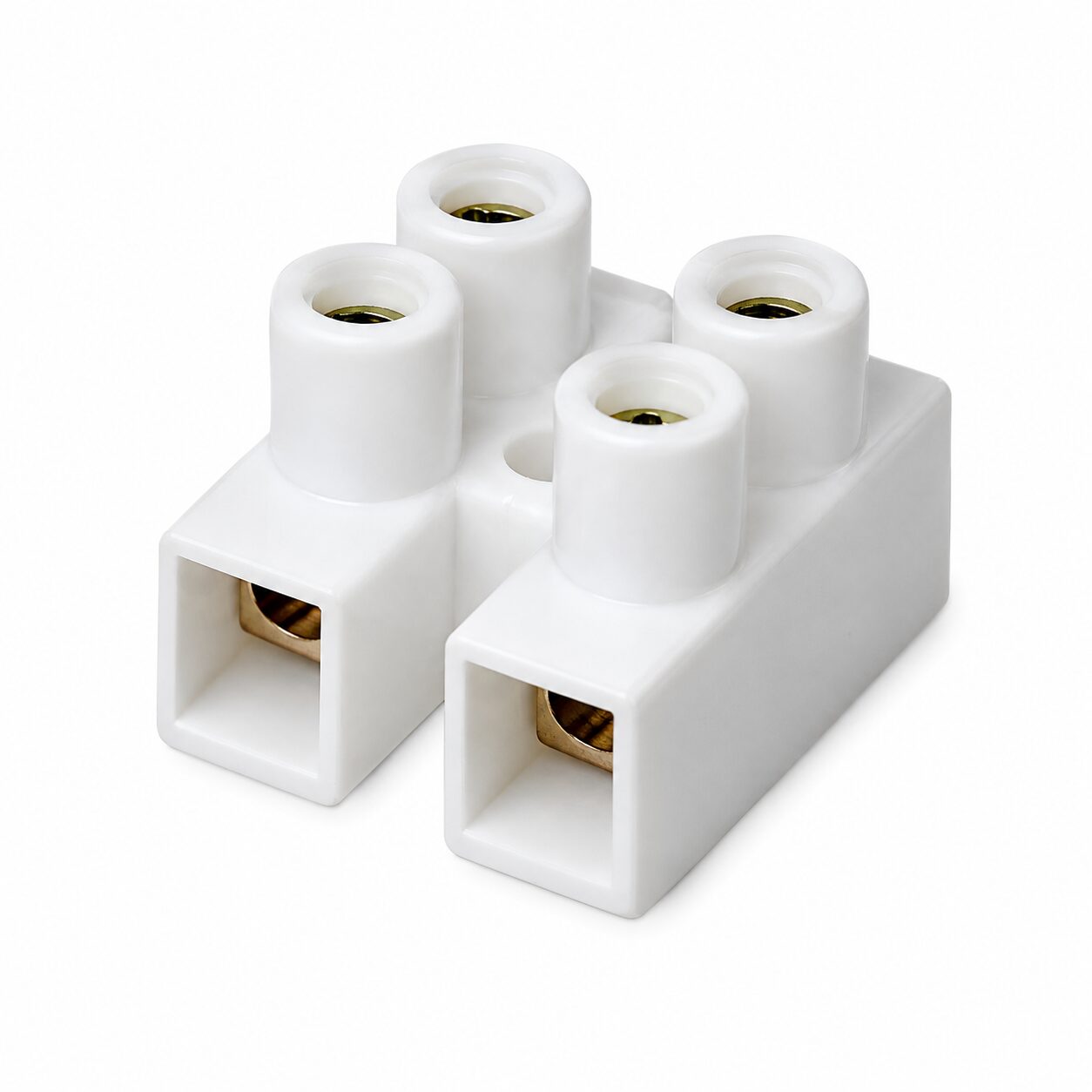Conector eléctrico de 2 polos